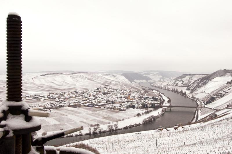 Weingut & Gaestehaus Edwin Hoffmann Trittenheim Esterno foto