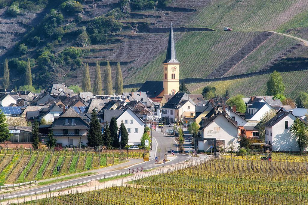 Weingut & Gaestehaus Edwin Hoffmann Trittenheim Esterno foto